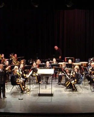 Leonid & Friends - A Tribute To Chicago Tucson