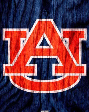 Auburn Tigers vs. Arizona Wildcats