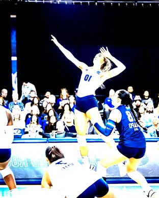 Byu Cougars Volleyball Tucson
