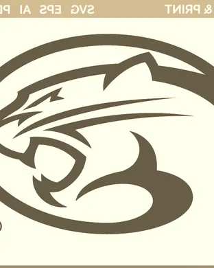 Houston Cougars Tucson