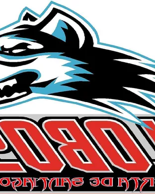 New Mexico Lobos Tucson