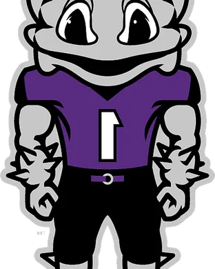 Tcu Horned Frogs Tucson