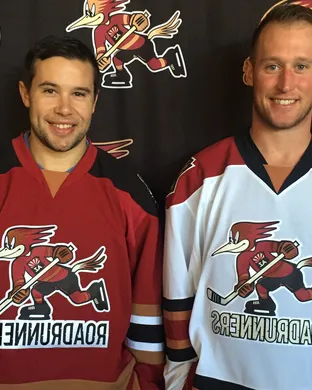 Tucson Roadrunners vs. San Diego Gulls