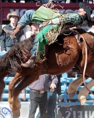 Tucson Rodeo Tucson