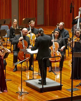Tucson Symphony Orchestra Tucson