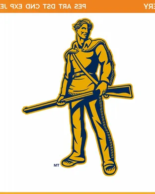 West Virginia Mountaineers vs. Arizona Wildcats 
